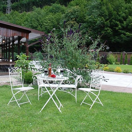 Hotel Pensiunea Roua Florilor Anina Exterior foto