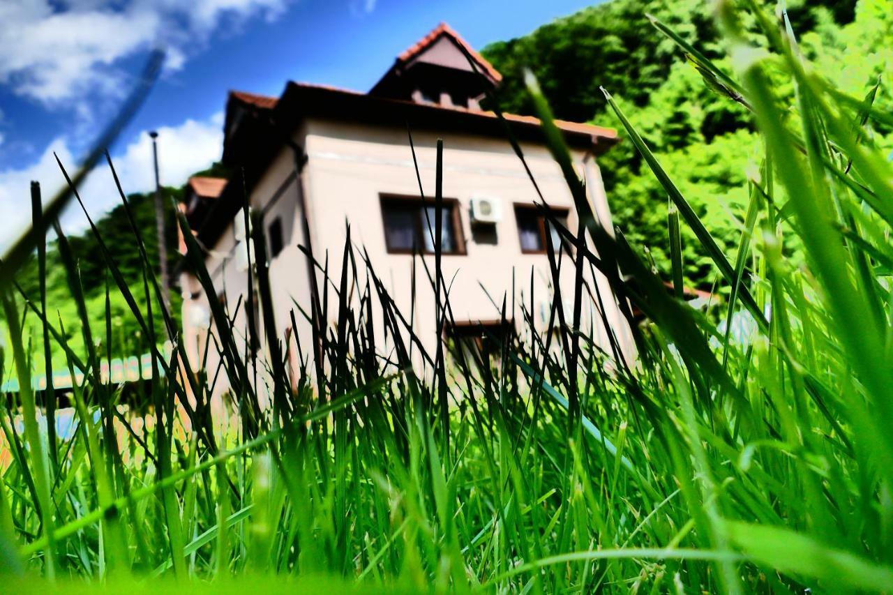 Hotel Pensiunea Roua Florilor Anina Exterior foto