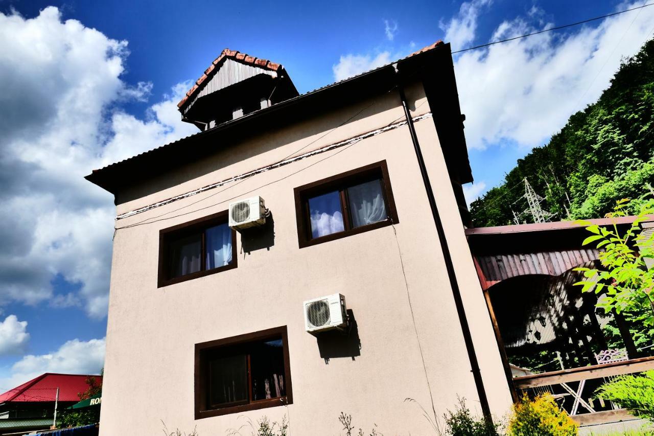 Hotel Pensiunea Roua Florilor Anina Exterior foto