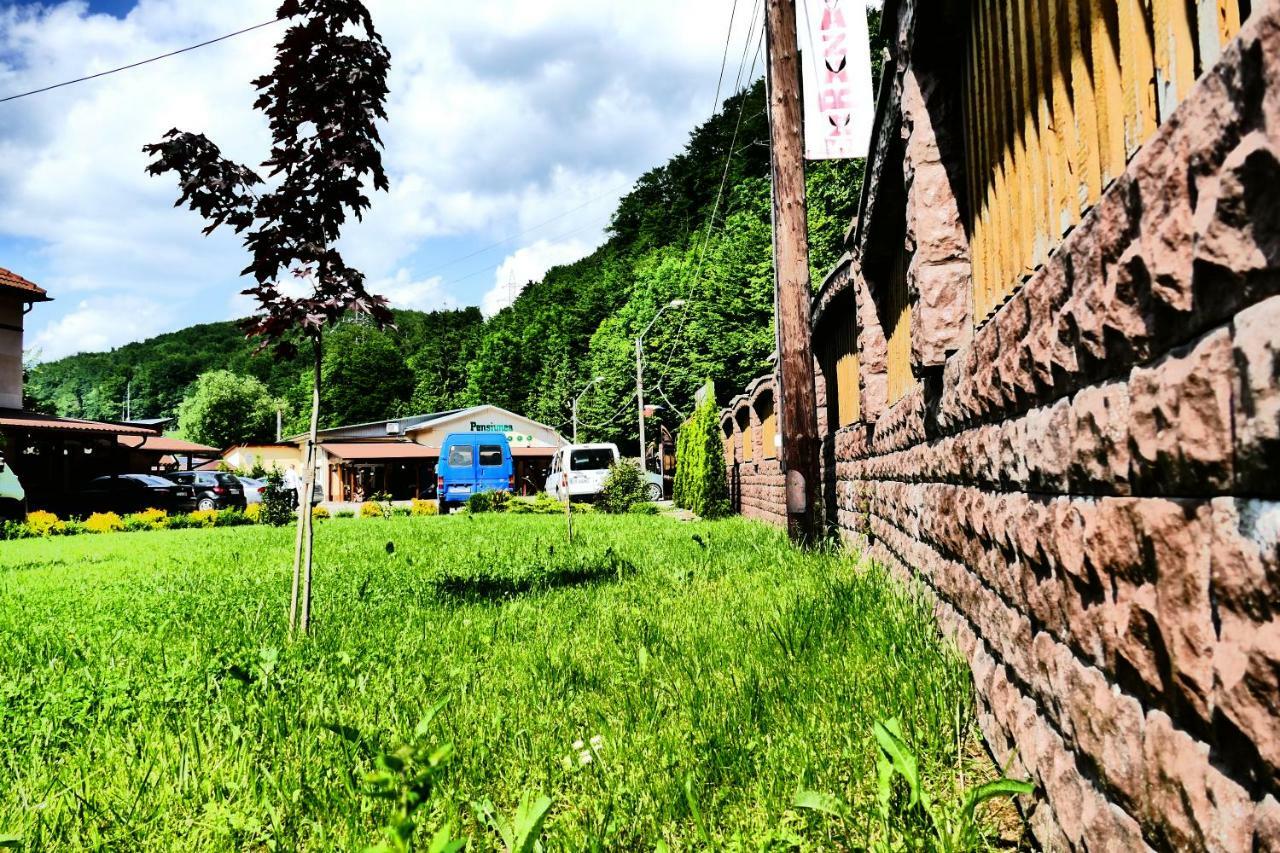 Hotel Pensiunea Roua Florilor Anina Exterior foto