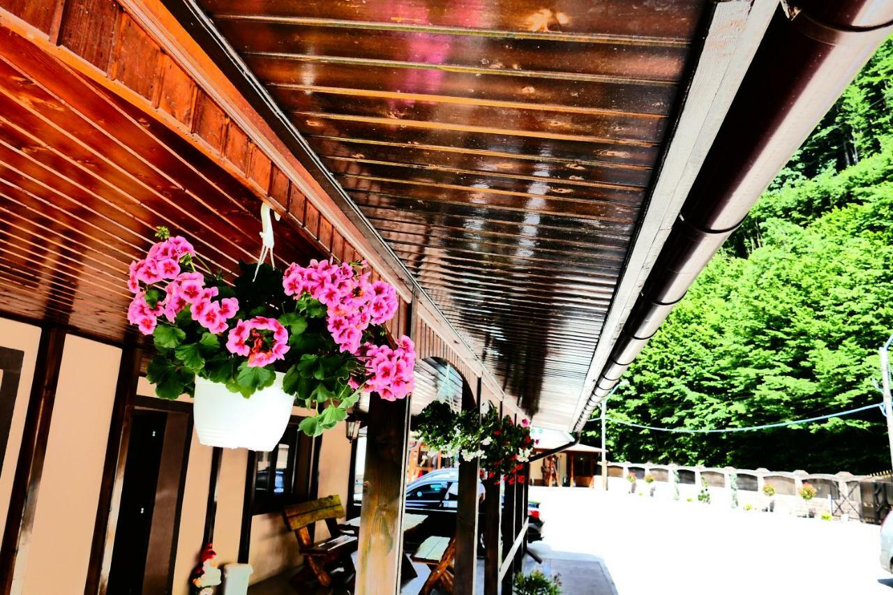 Hotel Pensiunea Roua Florilor Anina Exterior foto
