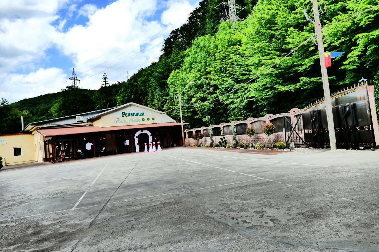 Hotel Pensiunea Roua Florilor Anina Exterior foto