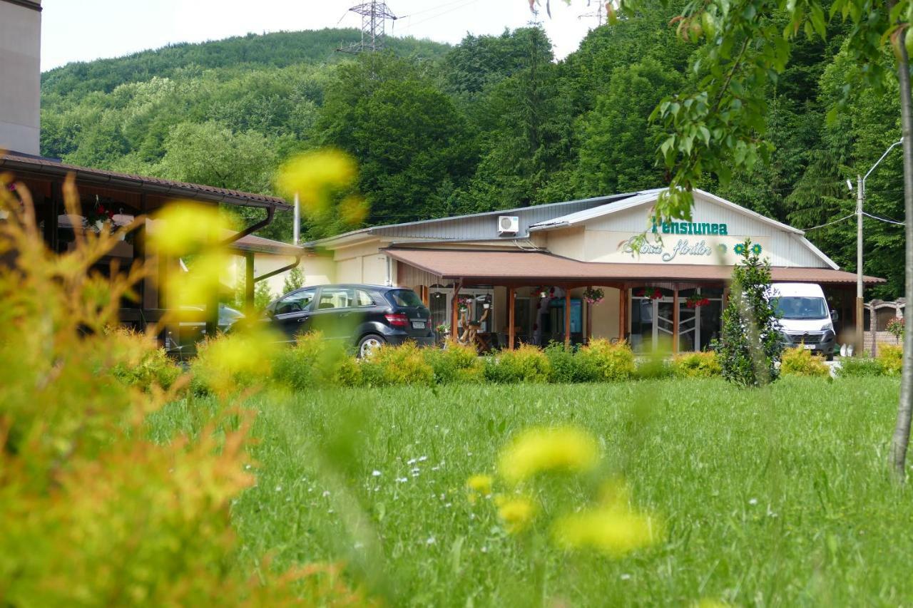 Hotel Pensiunea Roua Florilor Anina Exterior foto